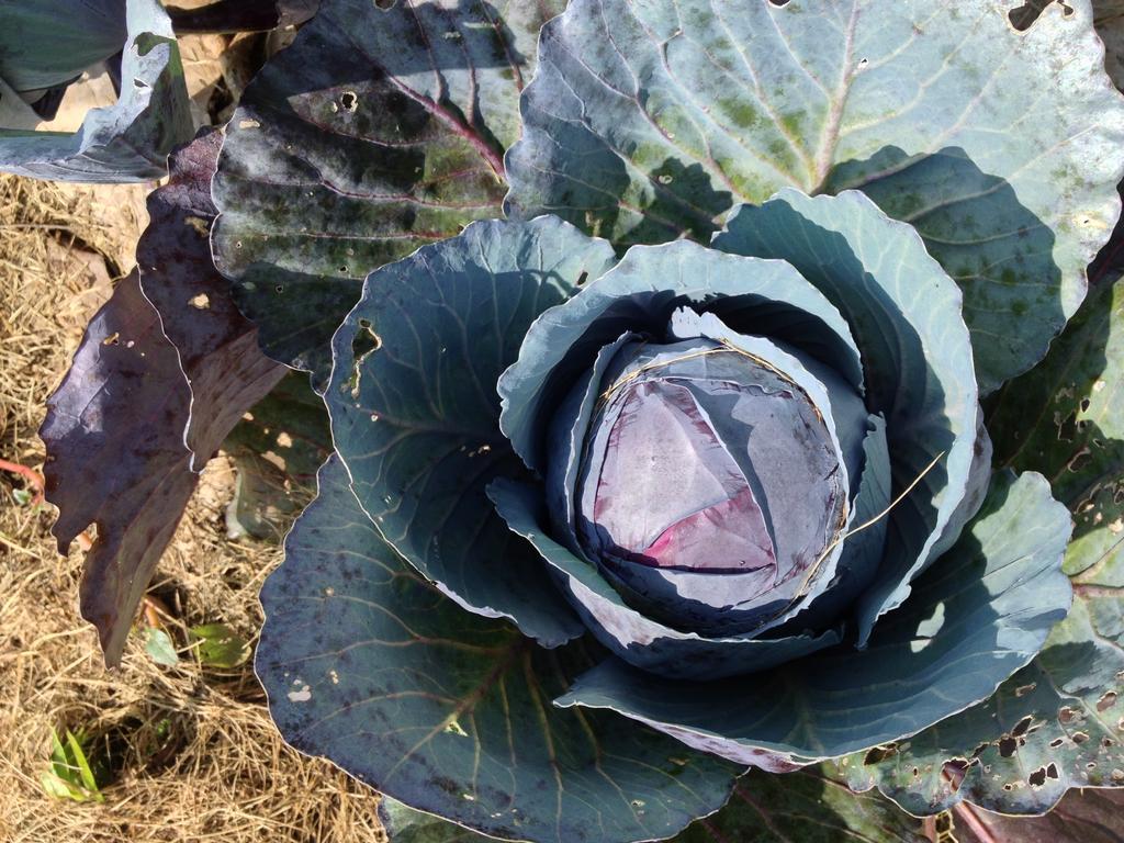 鲁坎农场度假村 霍利 外观 照片